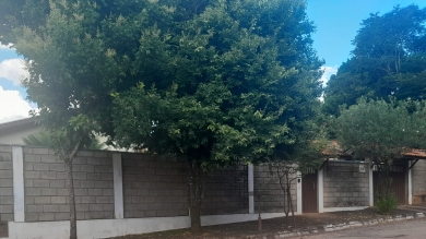 CASA PARA VENDA - CHÁCARA - PALMEIRINHAS