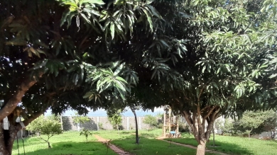 CASA PARA VENDA - CHÁCARA - PALMEIRINHAS