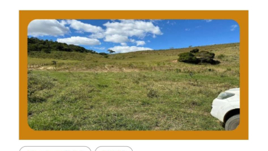 GLEBAS B e C FAZENDA IPE III