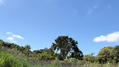 LOTEAMENTO PARA VENDA - CONDOMINIO SÃO MIGUEL