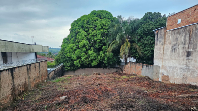 LOTEAMENTO PARA VENDA - JARDIM LAVINIA