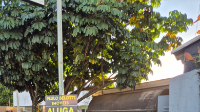 PRÉDIO COMERCIAL PARA LOCAÇÃO - JARDIM LAVINIA 