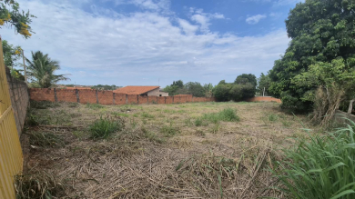 LOTE PARA VENDA - PALMEIRINHAS 