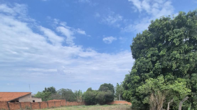 LOTE PARA VENDA - PALMEIRINHAS 