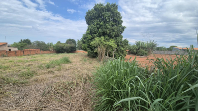 LOTE PARA VENDA - PALMEIRINHAS 